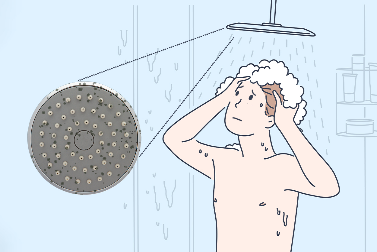 Black Mould on Your Shower Head Head Shower heads