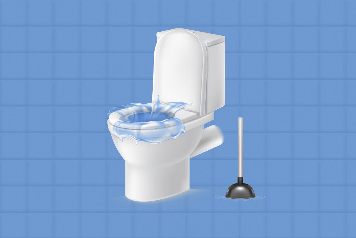 4 Signs of Toilet Bowl Choke