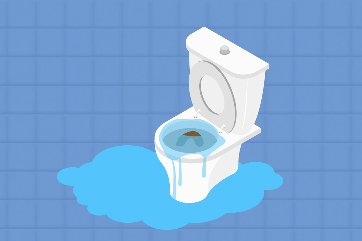 Overflowing or Full Toilet Bowl Toilet flush systems