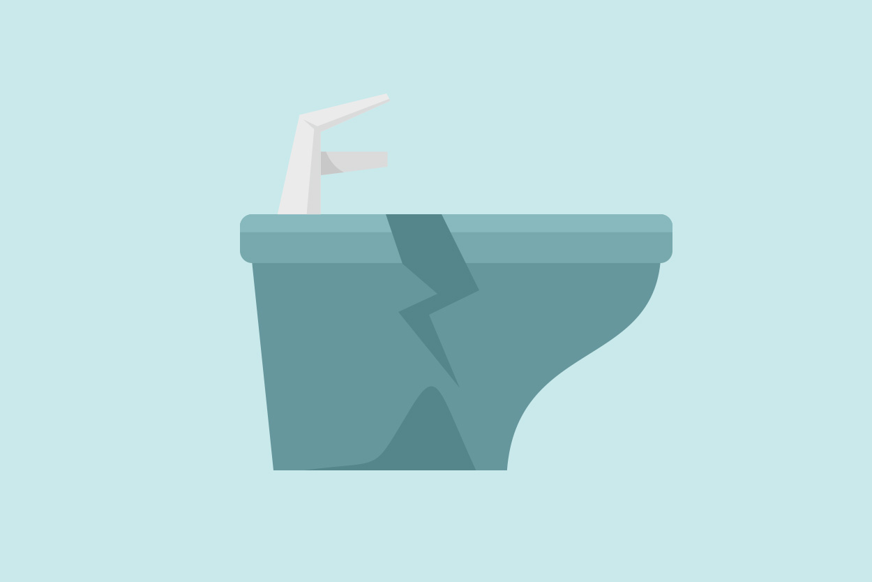Illustration of a cracked toilet bowl
