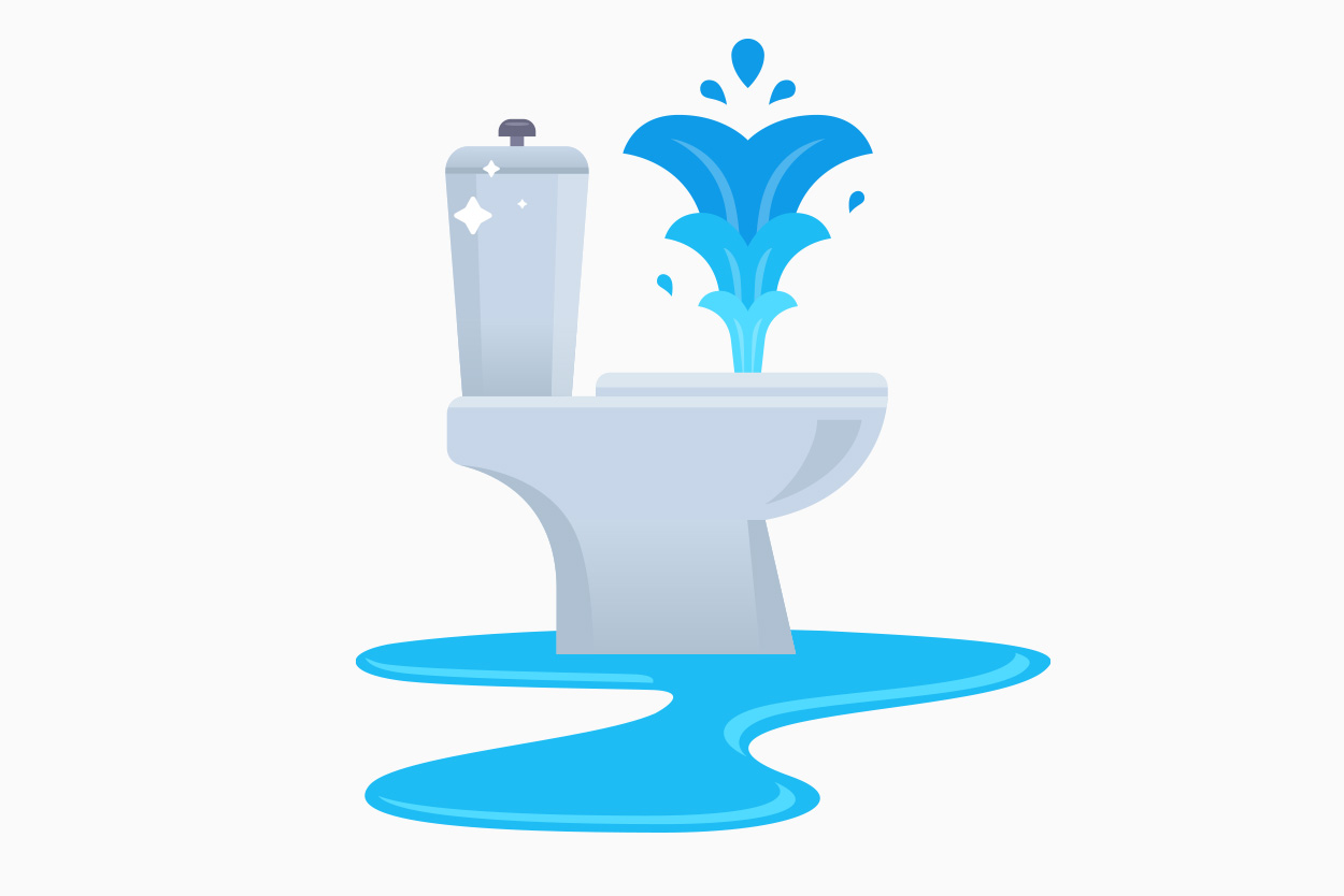 Illustration of a toilet leak