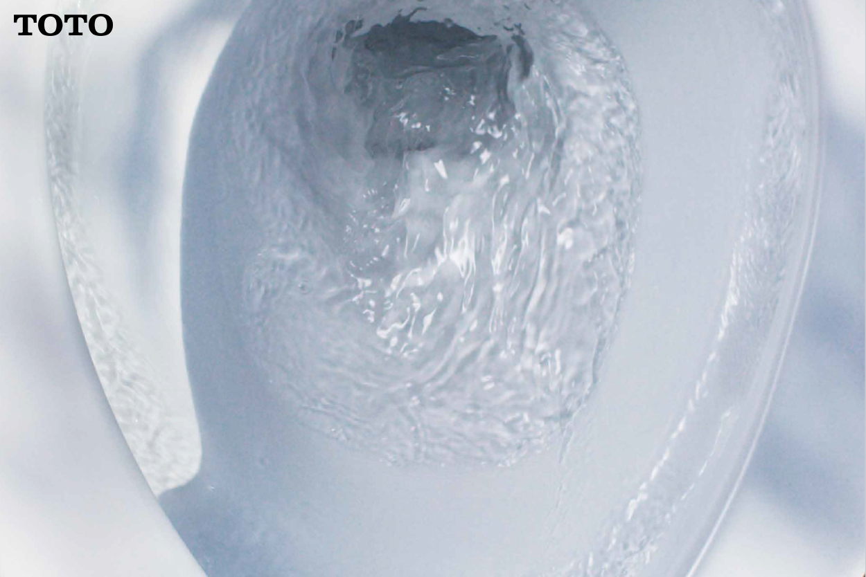Touchless Flush
