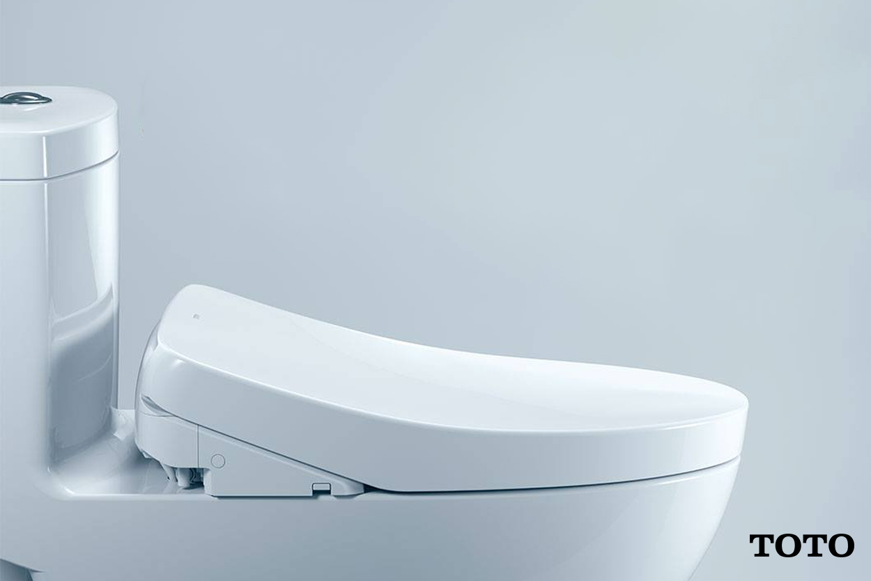3-Common-Toilet-Flush-Problems