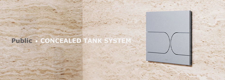 CONCEALED TANK SYSTEM